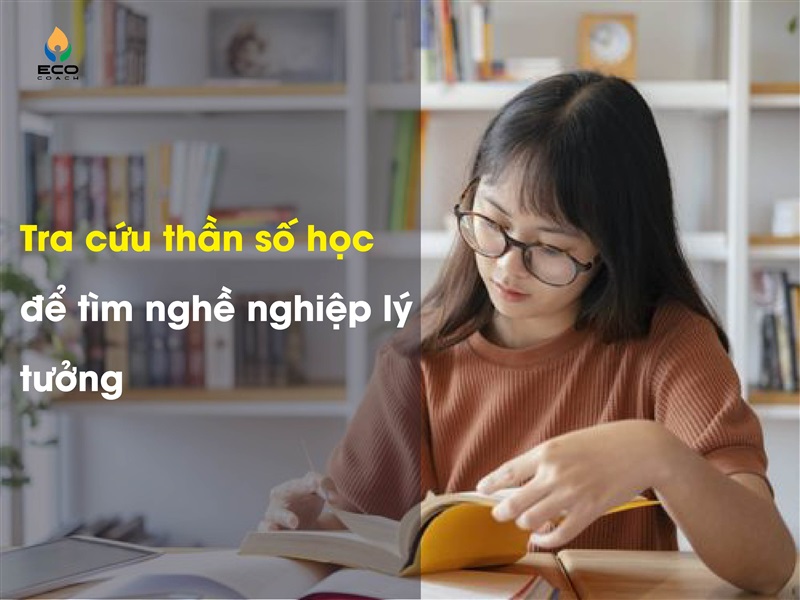 Tra cứu thần số học để tìm nghề nghiệp lý tưởng